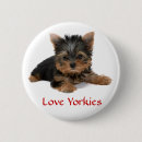 Buscar yorkie accesorios Cachorro