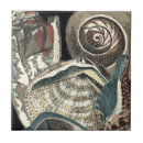 Buscar seashell azulejos Conchas