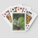 Buscar brote barajas de cartas Verde