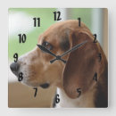 Buscar beagle relojes de pared Amante del perro