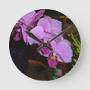 Buscar orquídea relojes de pared Flor