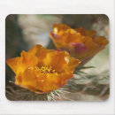 Buscar cactus alfombrillas de raton Flores