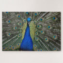 Buscar pavo real puzzles Vibrante