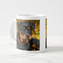 Buscar carniceros tazas Animal