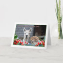 Buscar alpaca tarjetas Humor