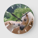 Buscar caracol relojes de pared Lindo