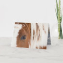 Buscar jefe tarjetas Caballo