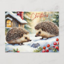 Buscar erizos postales Para todos