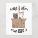 Buscar gato flyers Gatito