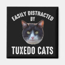 Buscar gato blanco y negro imanes Humor