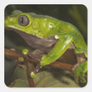 Buscar bicolor postales Verde