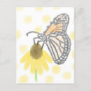Buscar mariposa monarca postales Flor