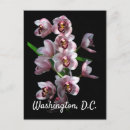 Buscar locuras postales Para todos