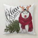 Buscar husky cojines Siberiano