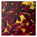 Buscar autumn azulejos Hojas