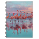 Buscar cremallera libretas General y unisex