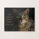 Buscar meme del gato puzzles Gatito