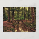 Buscar bosques postales Árbol