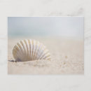 Buscar seashell postales Playa