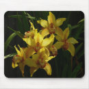 Buscar orquídea amarilla alfombrillas de raton Amarillo