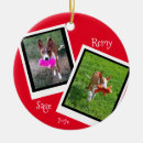 Buscar christmas mascotas Pet