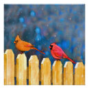 Buscar cardenales posters Escarlata
