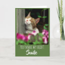 Buscar gato sonriente fotografía Feliz