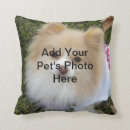 Buscar pomeranian cojines Animales