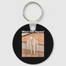 Buscar memes llaveros Lindo gato