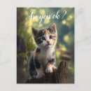 Buscar gatos de calicó tarjetas Lindo