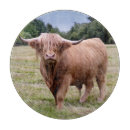 Buscar toro tablas cortar Animales