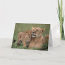 Buscar serengeti tarjetas León