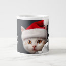 Buscar gatos divertidos tazas Meme
