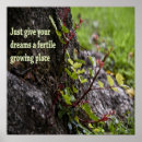 Buscar pensamientos positivos posters Citas