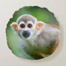 Buscar amazon cojines Animal
