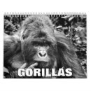 Buscar gorila calendarios Vida silvestre
