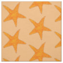 Buscar estrella de mar manualidades 7 º concha