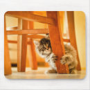 Buscar silla alfombrillas de raton Gatito