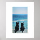Buscar black cat arte 9 º gata