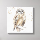 Buscar búhos lienzos Gris