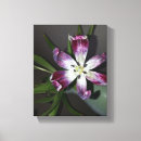 Buscar cortado lienzos Naturaleza