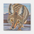 Buscar coyotes imanes Vida silvestre