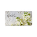 Buscar pretty pegatinas Beautiful