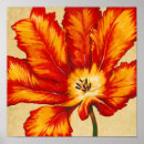 Buscar tulips posters Florals