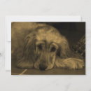 Buscar canino invitaciones Perro
