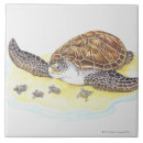 Buscar bebés azulejos Integral