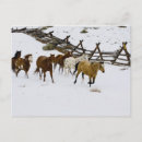 Buscar animales grandes postales Caballo