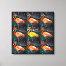 Buscar flamingo lienzos Pájaro