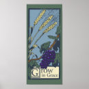 Buscar loros posters Para niños