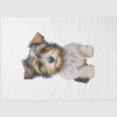 Buscar diseño del perro papel de seda Perros